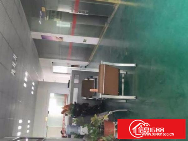 平湖鹅公岭主干道1760平方二楼，5吨电梯，适合小汽车仓库等