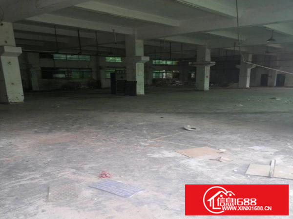 5000平方小独院一楼有牛角