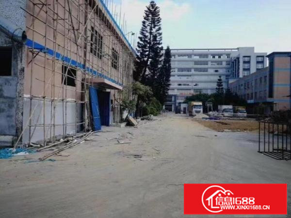 空地可停飞机，黄江田心村成熟工业区一楼500方，可办环评超靓