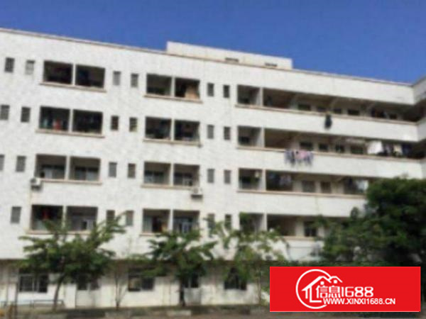 万江环城路附近现有650平方厂房招租出租