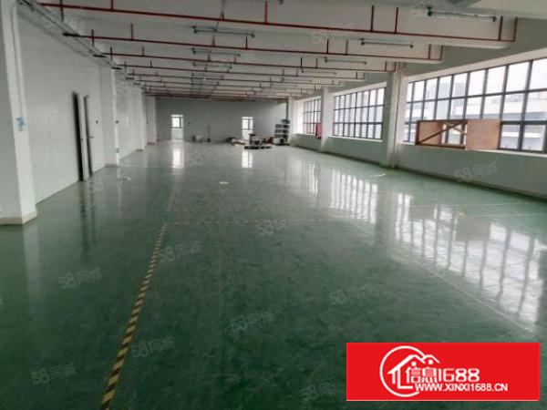 凤岗官井头原房东楼上厂房出租面积1600平带豪华办公室装修