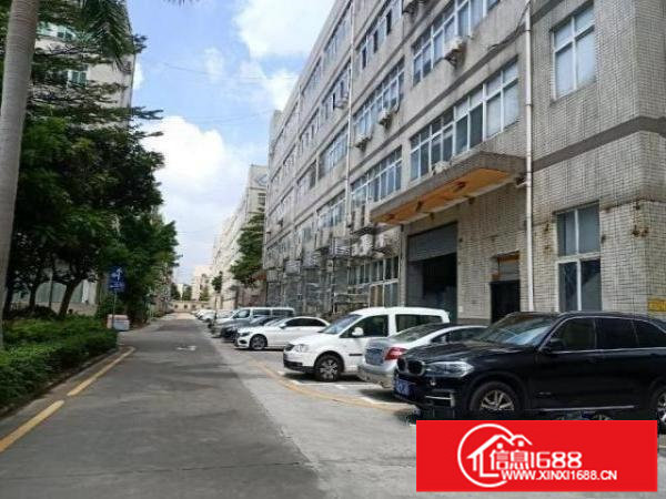 新出2楼1650平原房东厂房可分租适合各种加工行业