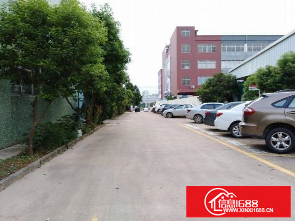 大亚湾一楼2000平钢构厂房滴水7米用电按需