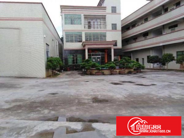 博罗单一层精装修办公室5000平标准厂房一楼带宿舍楼可分租