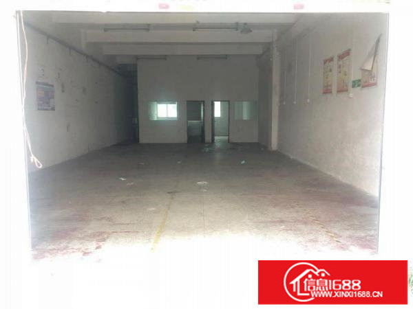 坂田光雅园路工业园内一楼300方