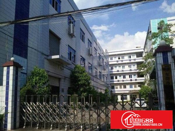 常平田尾独门独院4500平米(整租/分租)形象好