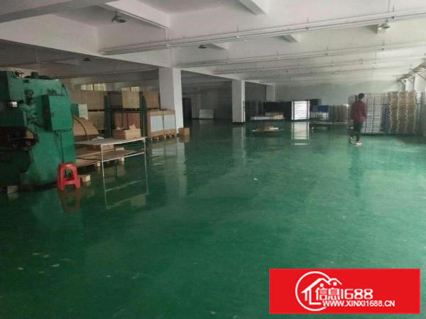 高埗标准一楼600或1000平方招租带现成办公室装修