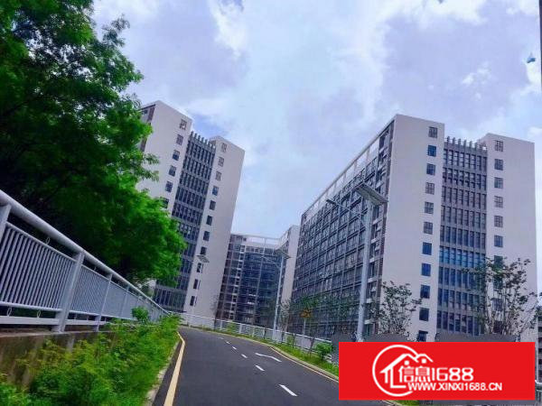 龙岗中心城花园式全新工业园厂房出租300平米起分租