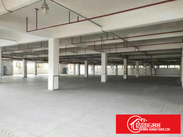 主干路边原房东独门独院标准三层厂房工业用地喷淋消防