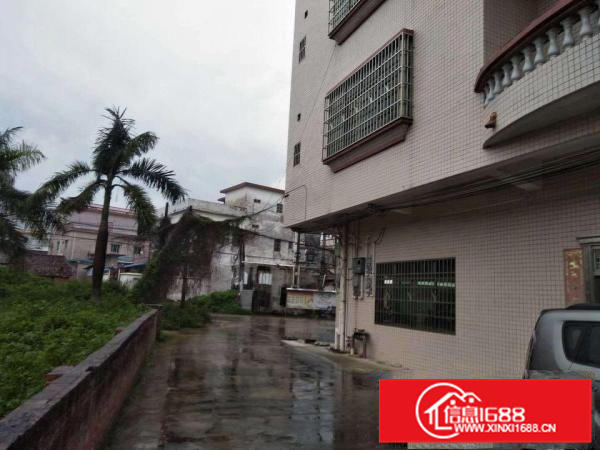 出租园洲园洲城区