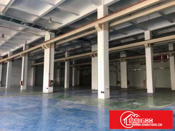 横岗坳背新出原房东一楼500平标准厂房出租高6米