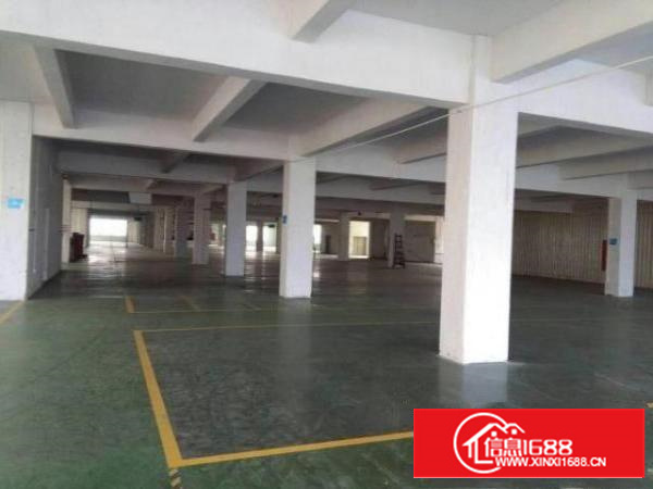 万江简沙洲标准厂房楼上2000平方带消防喷淋出租2吨电梯