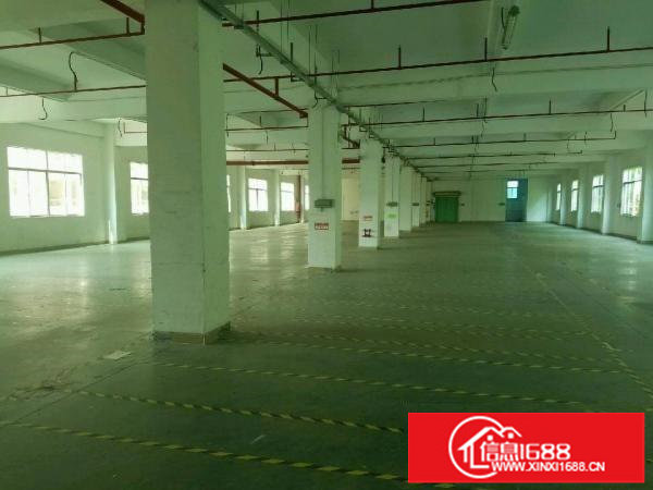 ！！！龙华民治红本（独门独院）厂房5700平米