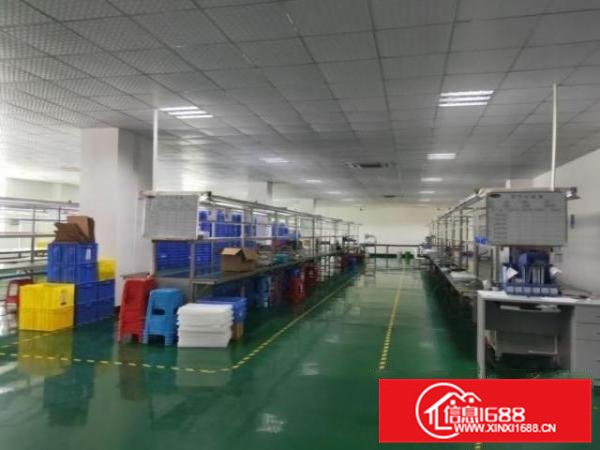 丹灶罗下东路1楼1000平精装修厂房出租，配电大