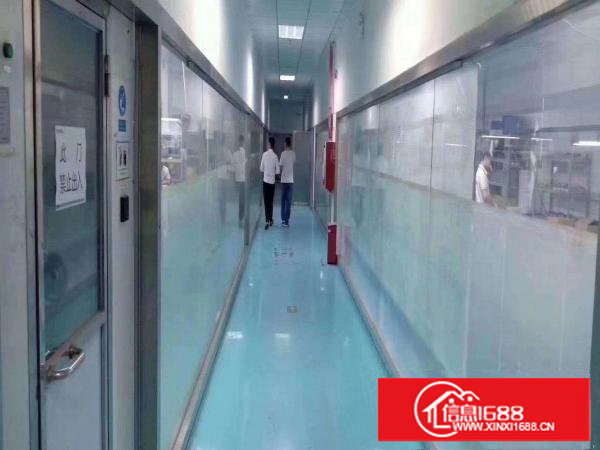 塘厦林村空出无尘车间1300平米，水电齐全，可直接拎包生产