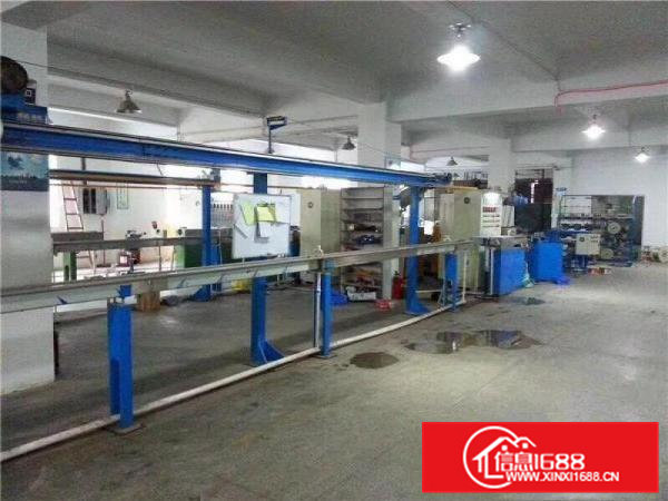 清溪上元原房东一楼1200平方带水电办公室装修出租