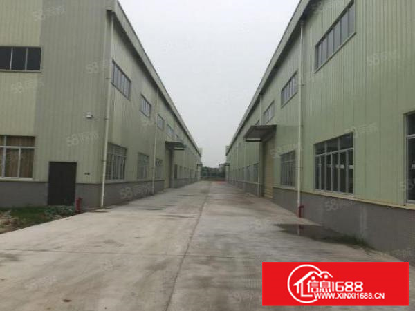 佛山一环三水高新园区全新单一层钢构两栋各七千一千方起分租