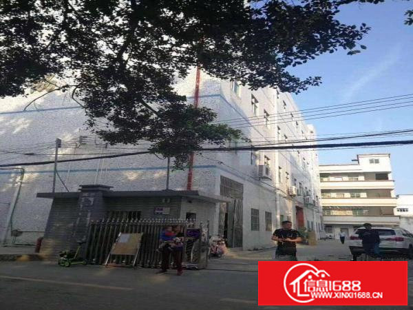 龙岗爱联新出红本独院4600平，有现成的水电带装修