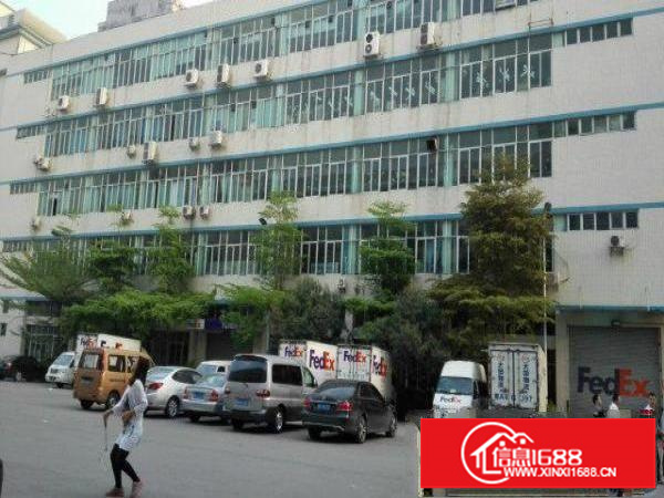 坂田龙壁高新科技园2楼3楼每层1900平方新招租