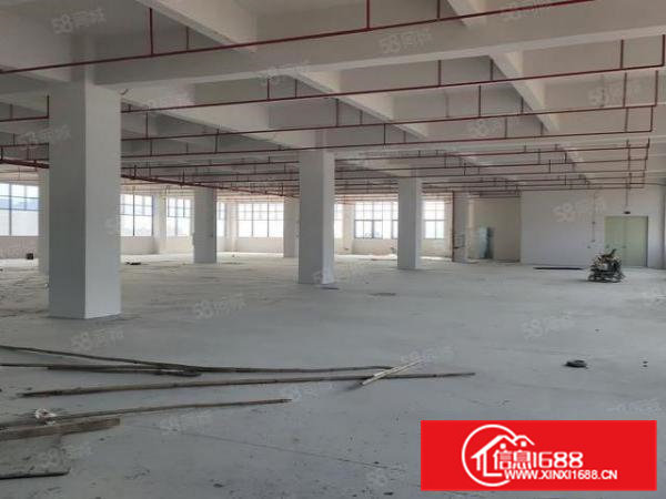 大朗原房东重工业厂房12000平招租，工业用地，可办环评