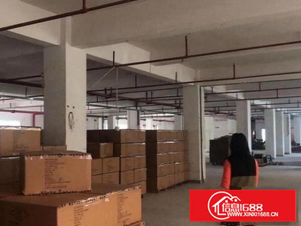 长安汽车站新出三层独门独院厂房3500平方，有红本，两部电梯