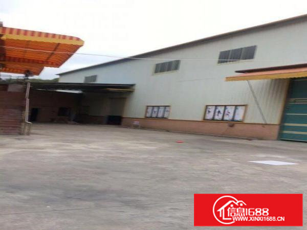 出租茶山镇经典小独院铁皮厂房