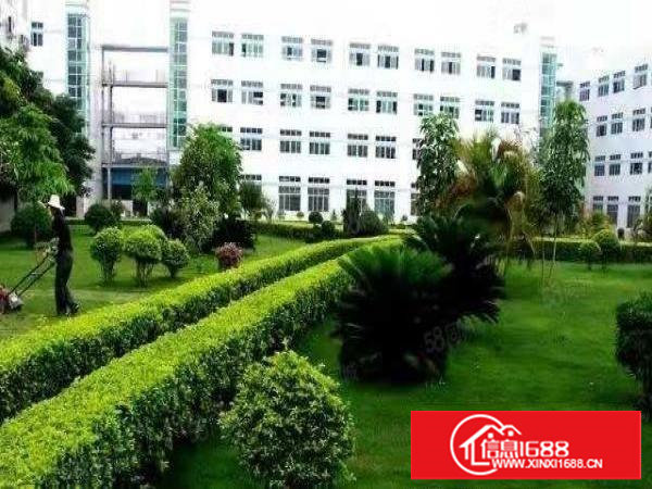 塘厦大坪3600平厂房招租，面积实在，水电齐全，零公摊