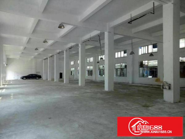 坪地6米高标准一楼厂房1000平方米出租（可分租）