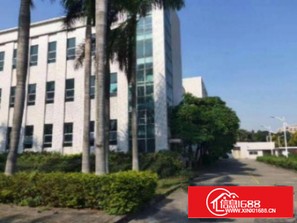 万江周边水乡片区新出可以做学校、医院、仓储物流园等厂房出租