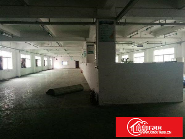 观澜大道福民派出所花园式厂房出租