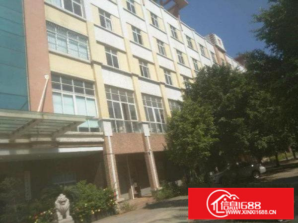 常平镇新出独栋标准厂房5380平米分租