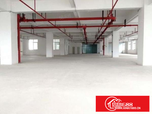一手房东厂房出租2000平全新标准厂房可分租形象好易招工