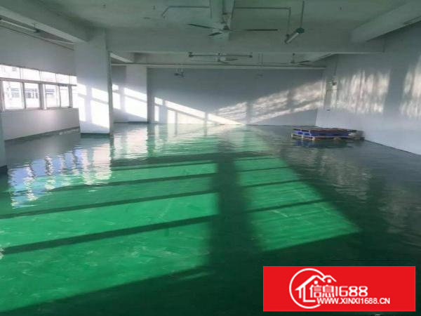 坂田五和路口正规厂房仓库1200平出租可分租