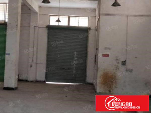 大岭山大岭村原房东一楼300平标准厂房出租无公摊小面积