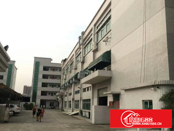 万江工业区标准厂房分租楼上2、3楼2000平方有精装办公室