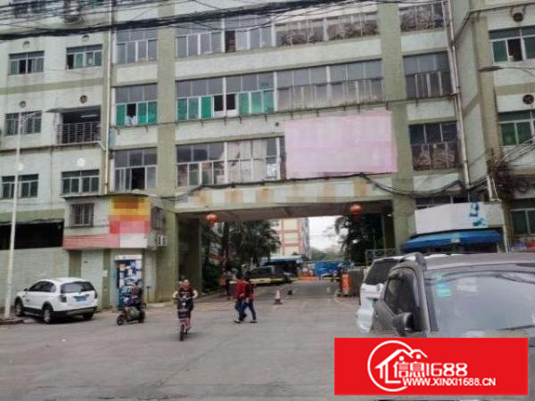 龙岗标准厂房二楼950平可办环评可分租，交通方便