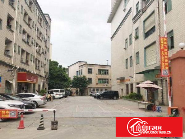 龙华区观澜丹湖泗黎路420平米一楼办公仓库厂房业主直租