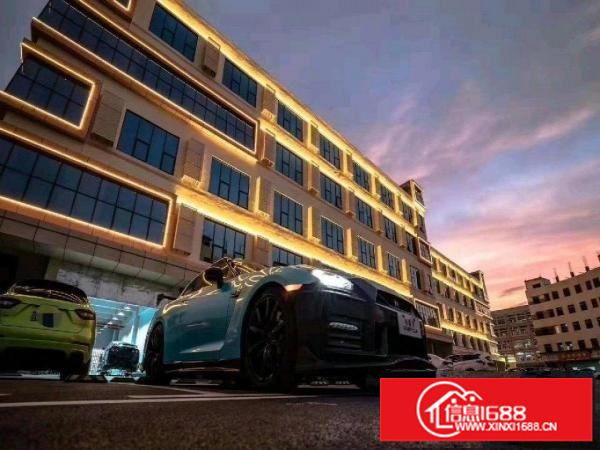 丹竹头红棉路仓库1000平米