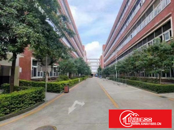 布吉早禾坑8000平方厂房出租