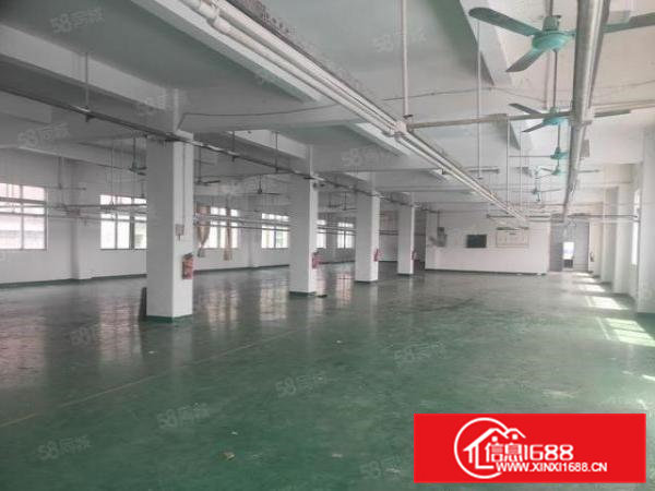 石排下沙标准厂房分租楼上650平方，水电齐全，有办公室装修