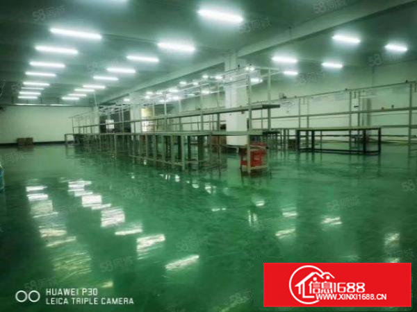 清溪荔横大主干道边上空出都上八百八十平方精装修厂房带办公室