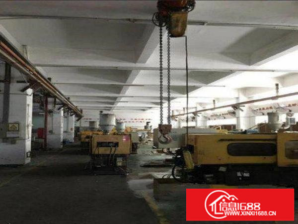 坪山坑梓原房东厂房1楼1000平2楼3000平出租