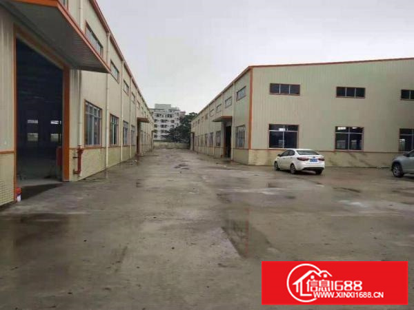 石湾新出独门独院全新单一层滴水9米高5500平方厂房出租