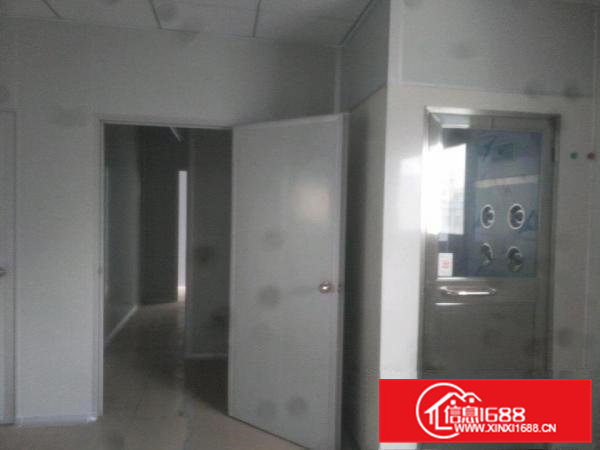 大岭山无尘车间厂房出租