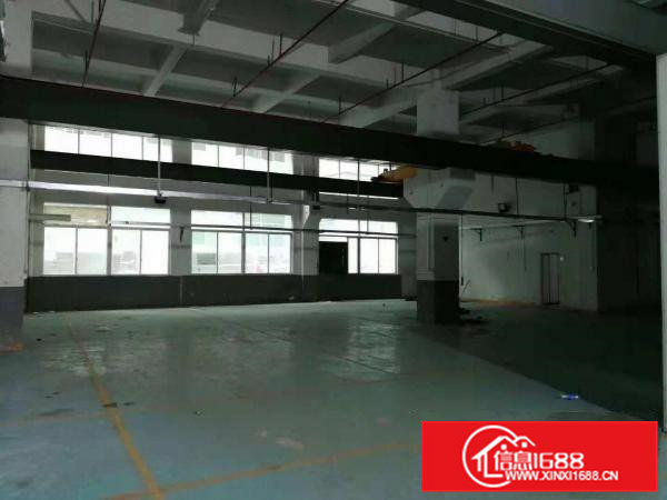 东莞凤岗五联一楼厂房出租750平带行车