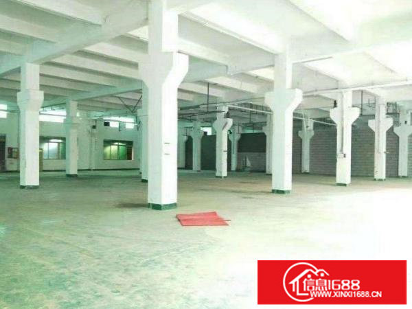 龙岗区坂田一楼1800平方厂房带牛角出租可分租