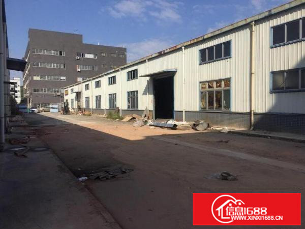 清溪三中原房东独院单一层滴水8米高钢构厂房1300平急租