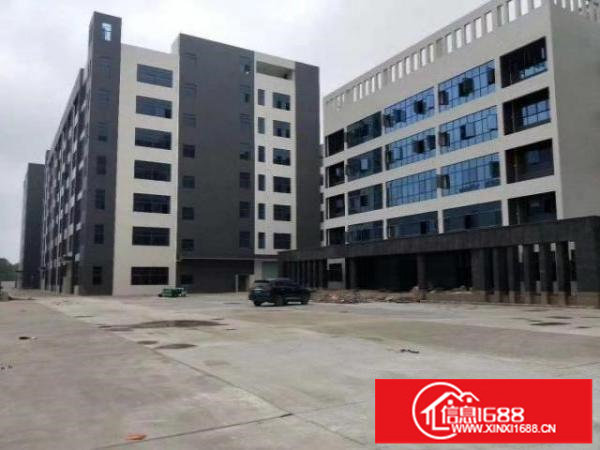 红本产权原房东12000平大小可分租