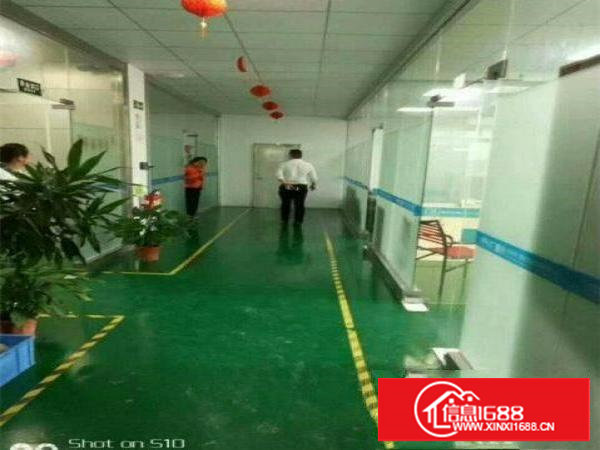 塘厦新出原房东1200平厂房出租，带地坪漆零公摊