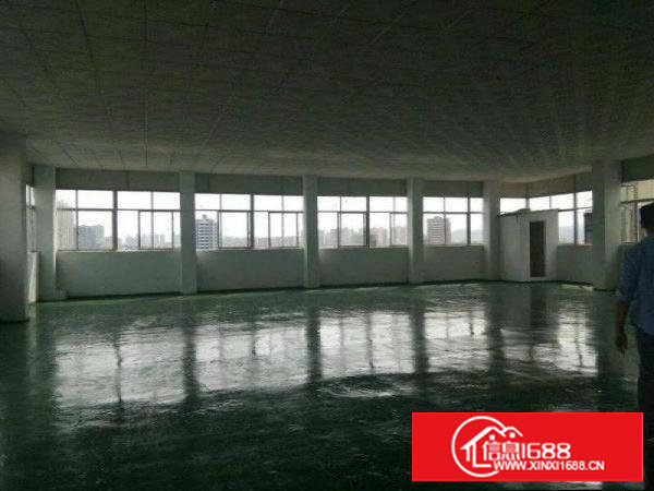 大坪1200 1630平方米楼上厂房/地坪漆和吊顶